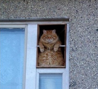 Запомни хозяин, Котэ тебя ждёт всегда!