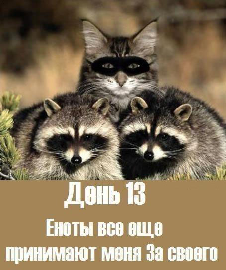 Зорро среди нас. Гляди в оба