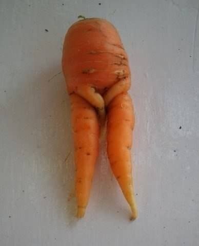 Стеснительная морковка