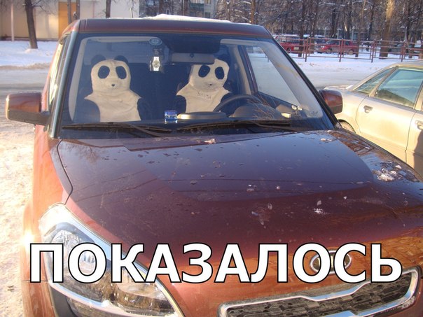 Панды показались из-за угла..