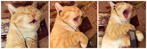 Растет замена Баскову