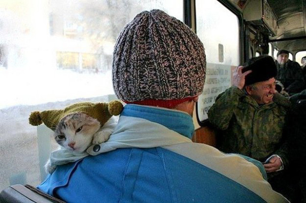 Подборка позитивных снимков