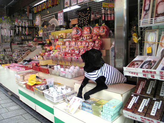 Собака-продавец, или Продавец-собака?