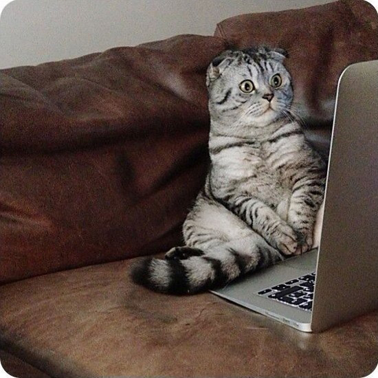 Пока вас нет дома....