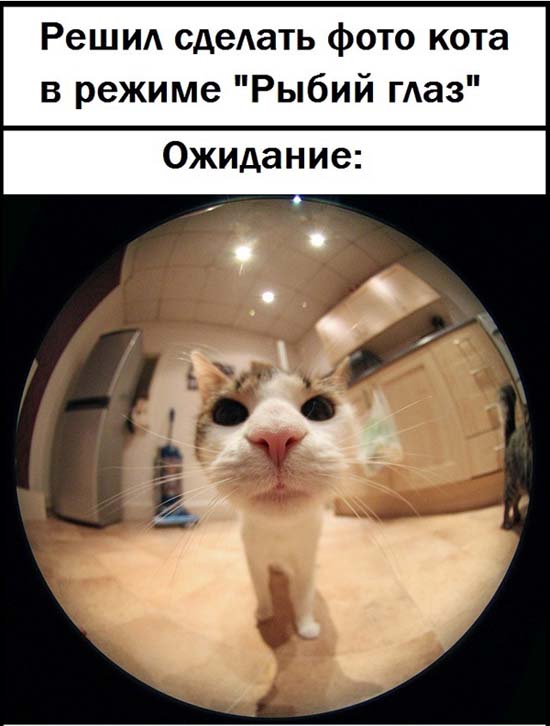 Ожидание и реальность