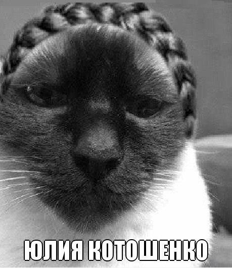 Няшка Юля Котошенко