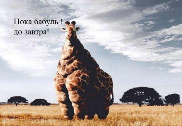 Спасибо, бабушка! Я покушал!