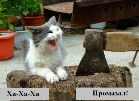 Он не промазал...