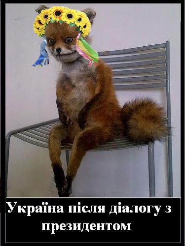 Демотиватор про лису-наркоман