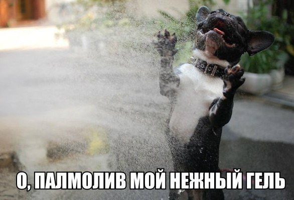 О, Палмолив, мой нежный гель