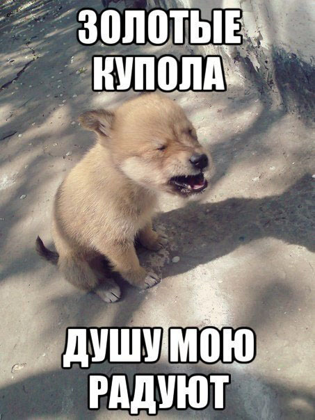 Золотые купола, золотые