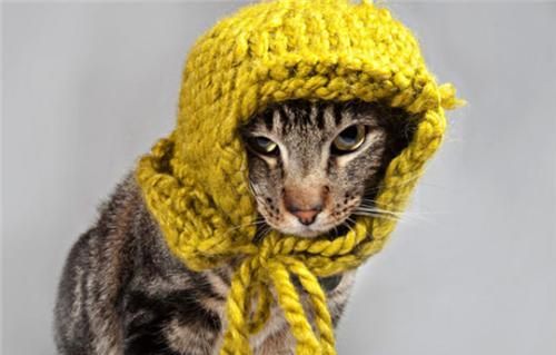 Котэ - кутюр