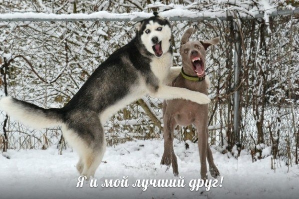 Всегда найдется друг, который испортит фото