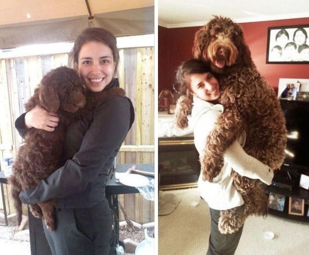 Няшка поела Ростишку