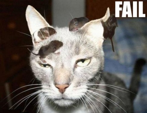 Обломы животных