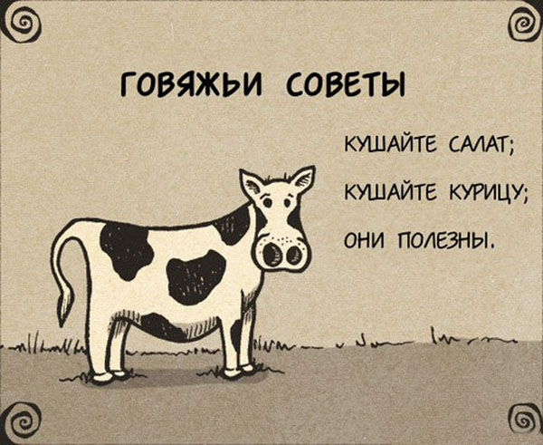 Совет дня от коровки!