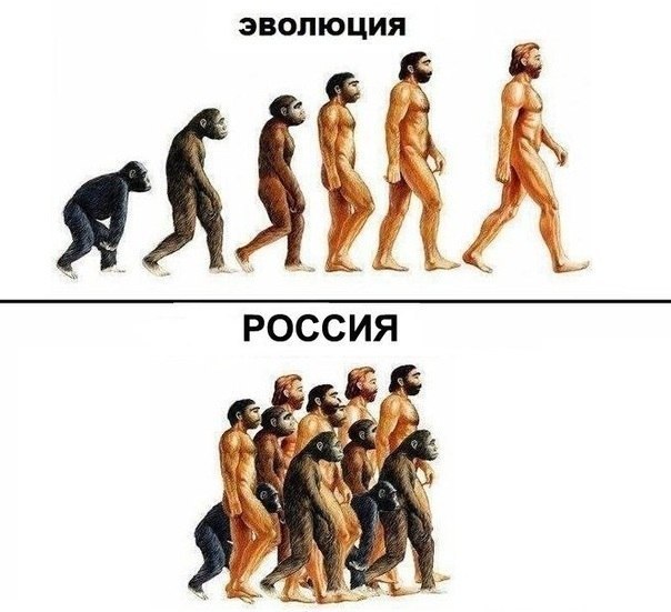 Эволюция человечества