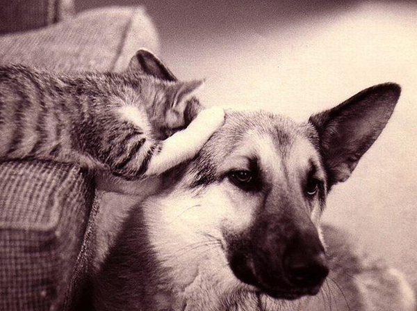 По секрету всему свету