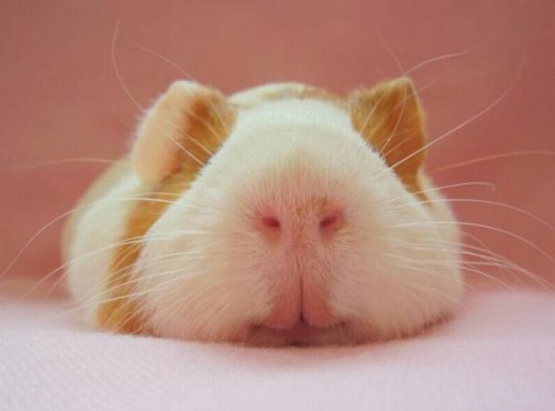 А где у меня глазики?