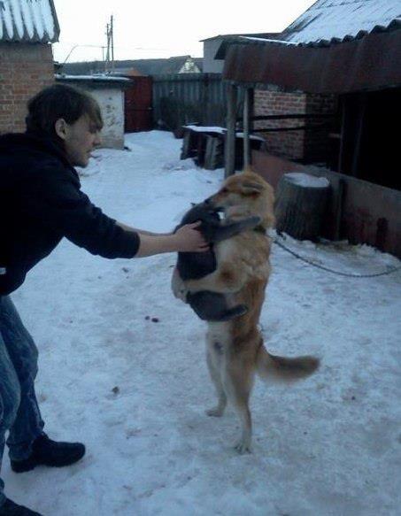 Шарик! Спаси! Они меня кастрировать собрались! 