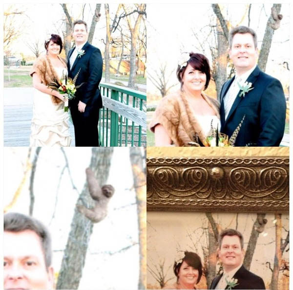 Мама поручила подредактировать ее свадебные фотографии. решил добавить кое-что... 