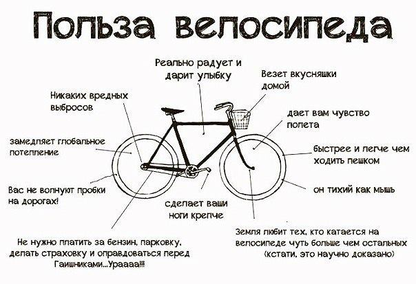 Какая польза от велосипеда