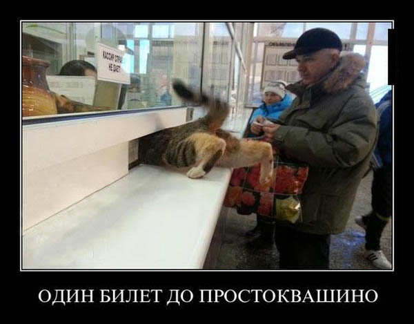 ТОП лучших демотиваторов