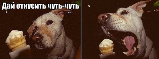 Типичный лучший друг