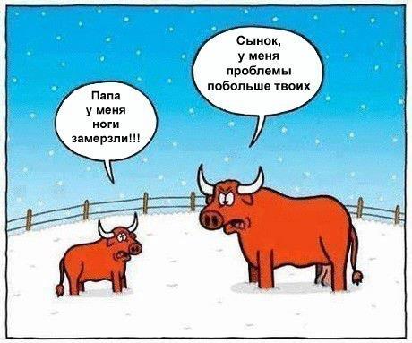 Сынок, мне бы твои проблемы...