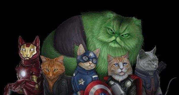 Улетная команда суперкотэ