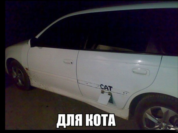 Прикольная картинка с машинкой для котэ