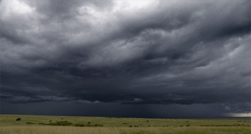 Подборка разных гифок