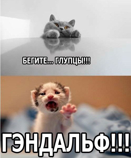 Няшный Гендальф