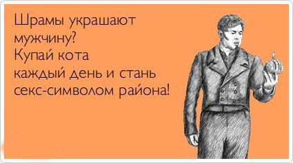 ТОП лучших аткрыток