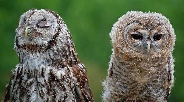 Не подходи ко мне, я обиделся!