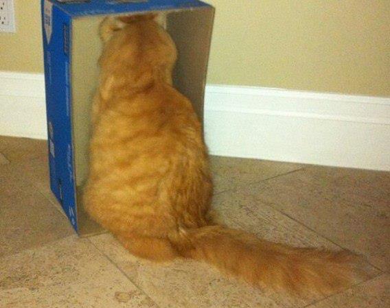 Не мешайте! Я думаю