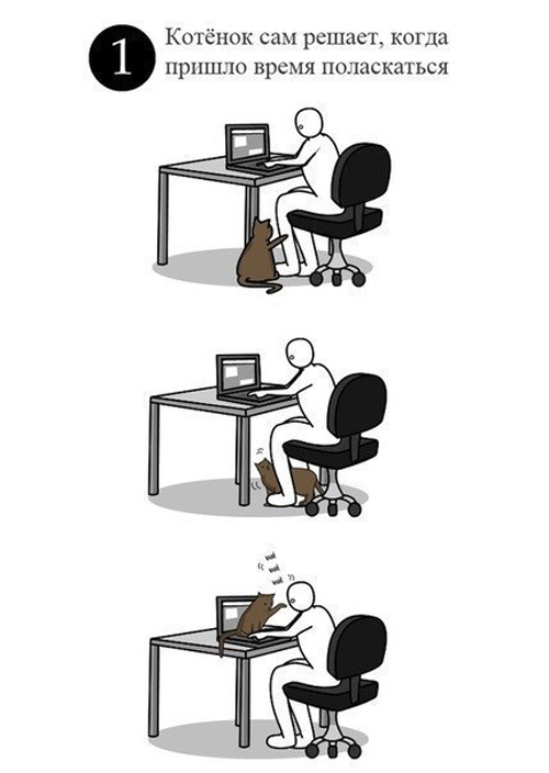 Как правильно гладить котэ