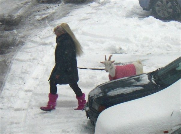 Гламур по-деревенски!