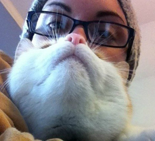 Смешная подборка котобород