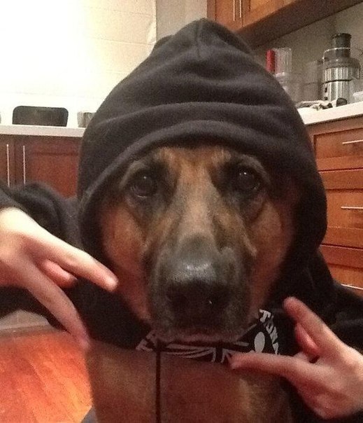 Фотоприкол с супер-рэпером