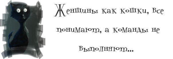 Подборка прикольных картинок с текстом