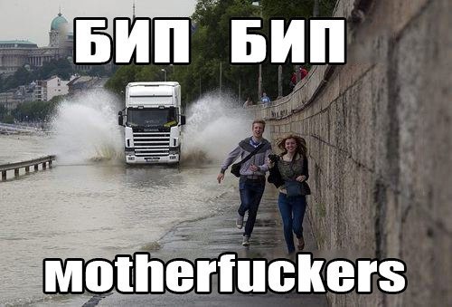 Добегут, не добегут... Вот в чем вопрос. Смешной фотоприкол