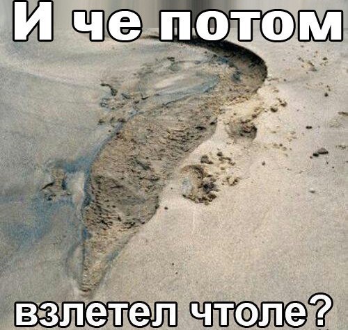 А мне летать охота! Прикол