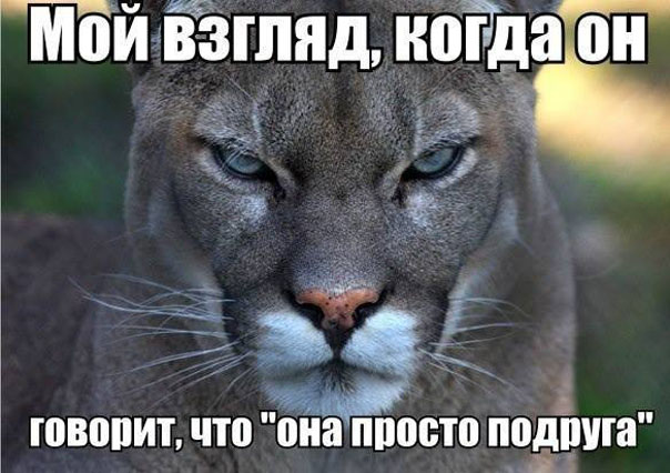 Этот взгляд нельзя забыть. Прикольный мем