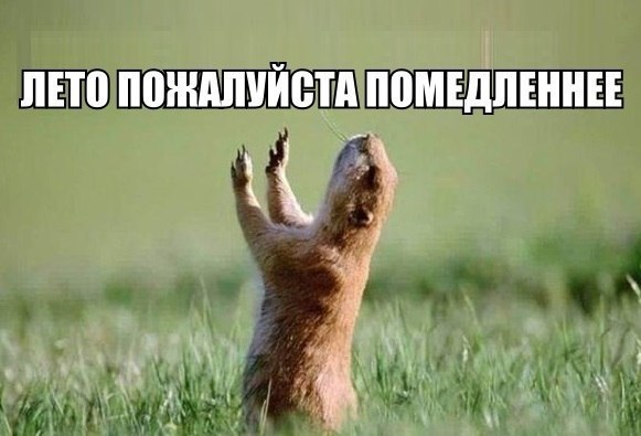 Лето!! Остановись!! Не торопись!!
