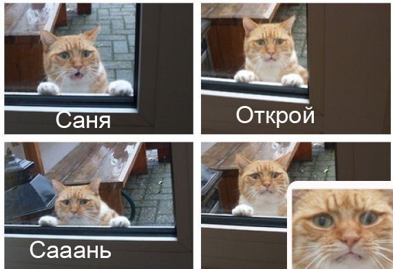 Няшка-грусняшка. Прикольное фото