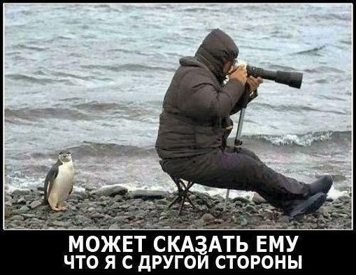 Прикольная фотка "Няшка и фотограф"