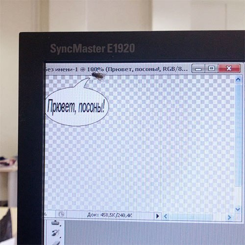 Приключения мухи на работе. Прикол