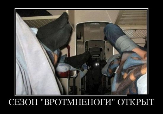 Летний демотиватор "Вротмненоги"