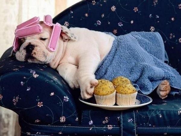 Позитивное утреннее фото с няшкой